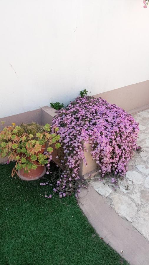 Dolce Vita Bitonto Extérieur photo